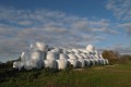 paysage bocager 2